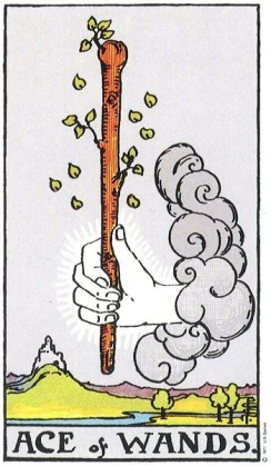 Cărțile de Bâte în Tarot