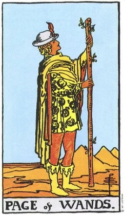 Pajul de Bâte