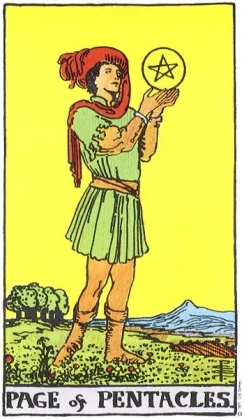 Pajul de Monede